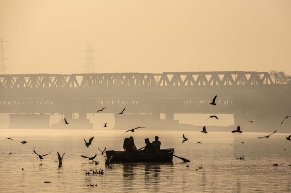 Kalindi Kunj bölgesinde bulunan Yamuna Nehri&#x27;nde turistler, kayıklarla gezinti yapabiliyor. - Sputnik Türkiye