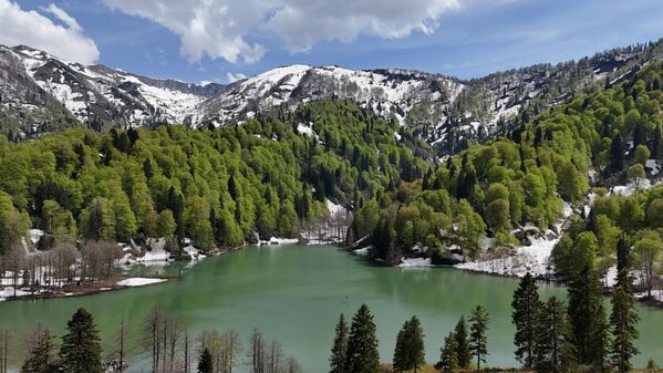 Artvin’in Borçka ilçesinde yer alan Borçka Karagöl Tabiat Parkı, ilkbaharın gelişiyle birlikte doğaseverler için adeta bir görsel şölene dönüşüyor. Artvin’in Borçka ilçesinde yer alan Borçka Karagöl Tabiat Parkı, ilkbaharın gelişiyle birlikte doğaseverler için adeta bir görsel şölene dönüşüyor. - Sputnik Türkiye