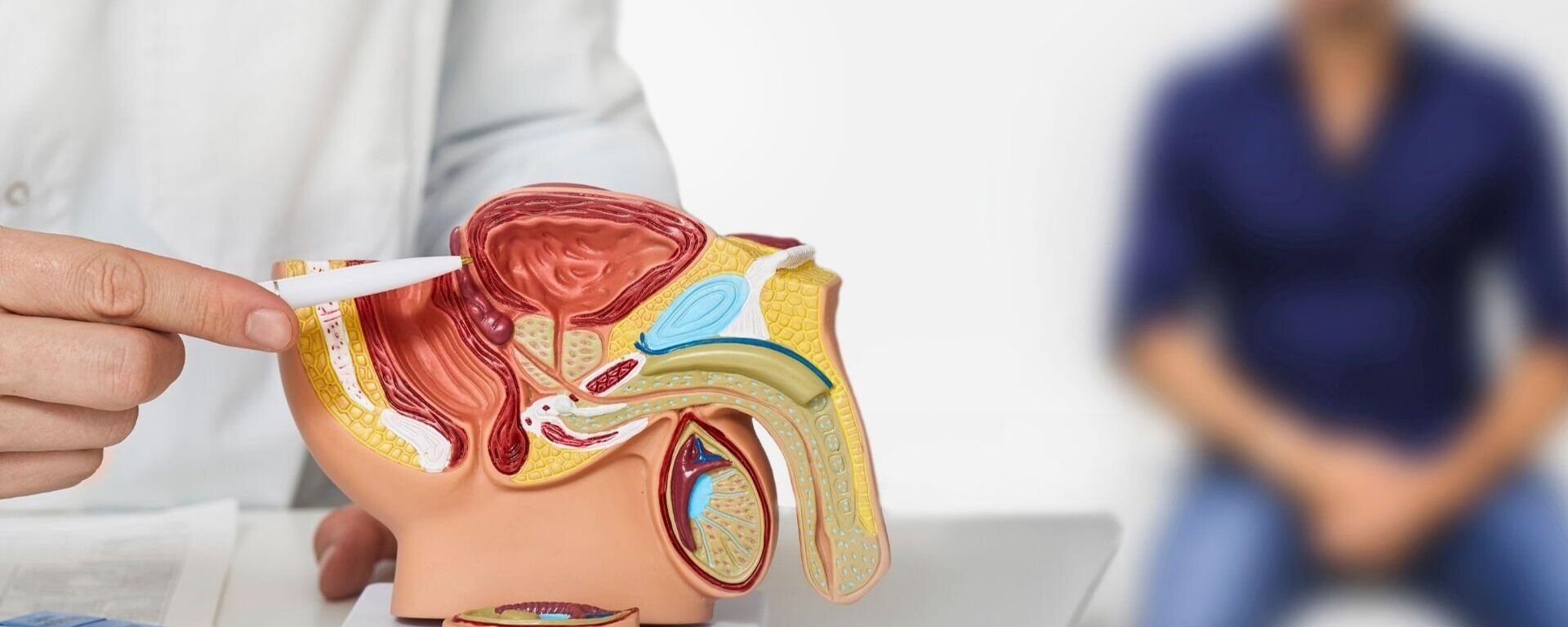 Prostat - Sputnik Türkiye, 1920, 04.06.2025