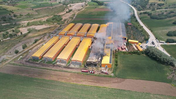 Ankara - Sputnik Türkiye