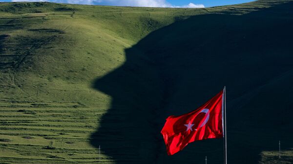 Ardahan'daki Atatürk silüeti bu yıl da oluşmaya başladı
 - Sputnik Türkiye