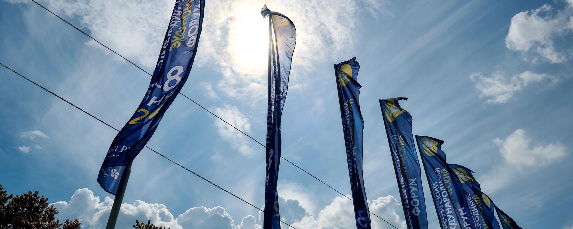 St. Petersburg Uluslararası Ekonomik Forumu (SPIEF) - Sputnik Türkiye, 1920, 18.06.2025