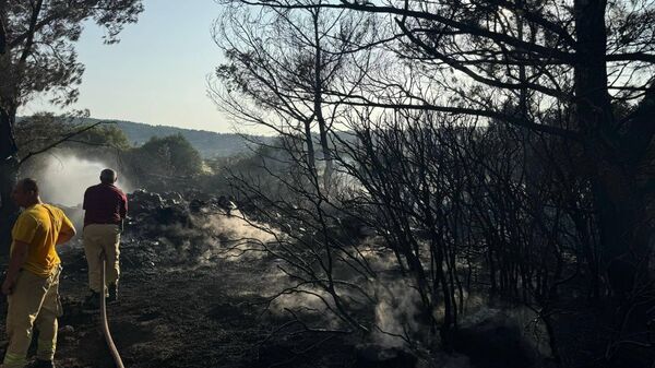 İzmir  - Sputnik Türkiye