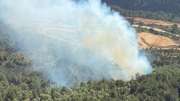 Orman Yangını - Sputnik Türkiye