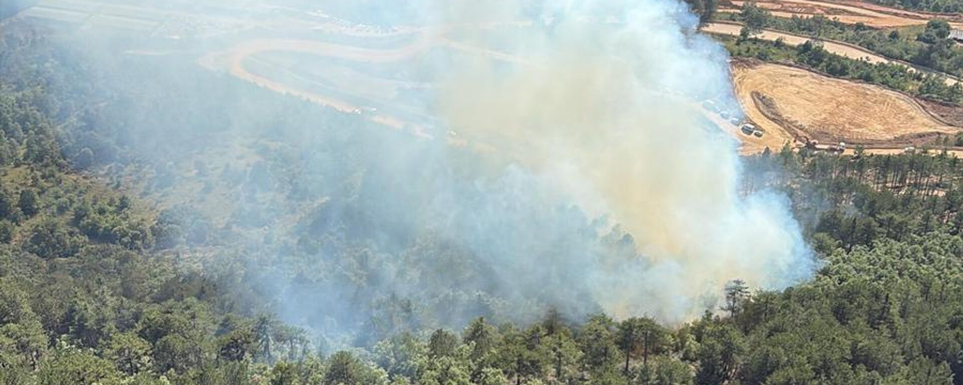 Orman Yangını - Sputnik Türkiye, 1920, 24.06.2025