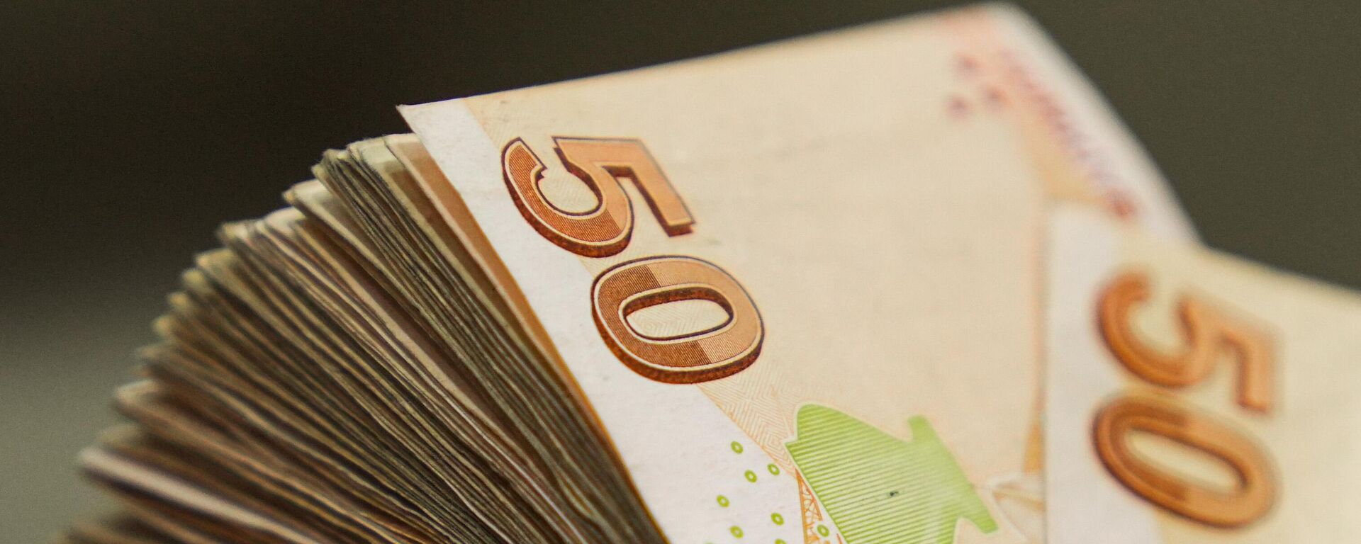 Türk Lirası - Sputnik Türkiye, 1920, 31.10.2025