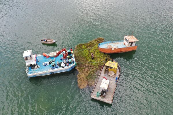 Çevre, Şehircilik ve İklim Değişikliği Bakanlığınca onaylanan proje, Çelikhan Kaymakamlığı ve Adıyaman Üniversitesi tarafından hazırlandı. - Sputnik Türkiye