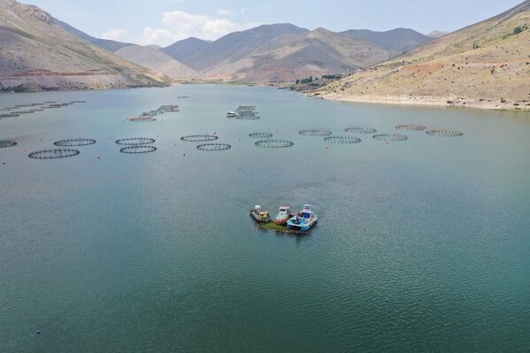 Yaklaşık 3 bin yılda oluşan yüzen adalar, rüzgar ve suyun hareketliliğiyle baraj kenarlarına yaklaşıp kıyıya oturuyor. Proje Koordinatörü ve Çelikhan İlçe Tarım ve Orman Müdürü Hüseyin Akın, &quot;Biz de, &#x27;Son kalan yüzen adaları en azından kurtaralım&#x27; diye harekete geçtik&quot; diyor. - Sputnik Türkiye