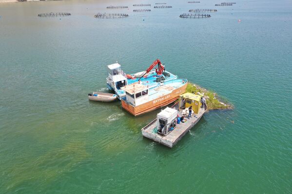 Uzman gözetiminde yürütülen çalışmada, çevre dostu özel karışımlarla üretilen beton bloklar, çelik halatlar, çelik hasırlar ve zincirler kullanılarak ada sabitlendi. - Sputnik Türkiye