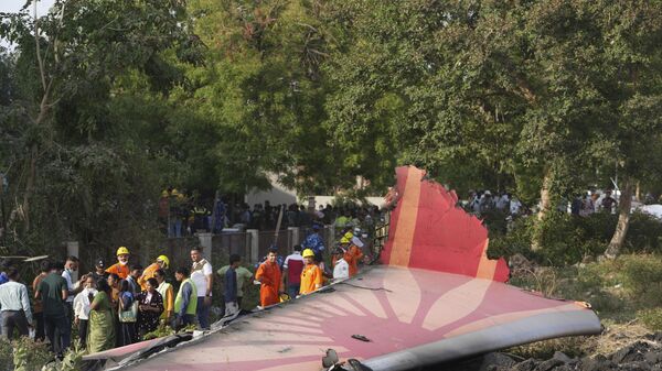 Hindistan uçak kazası - Sputnik Türkiye