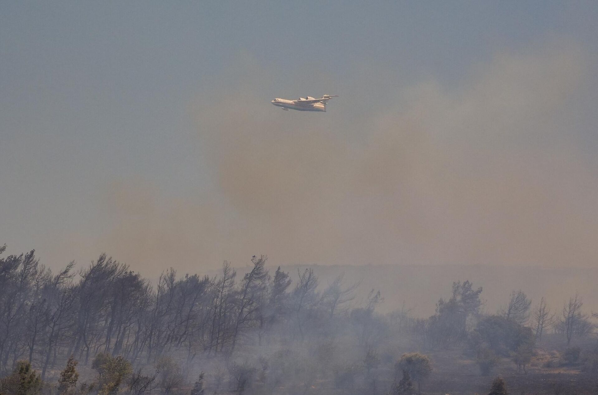 Foça - Sputnik Türkiye, 1920, 14.06.2025