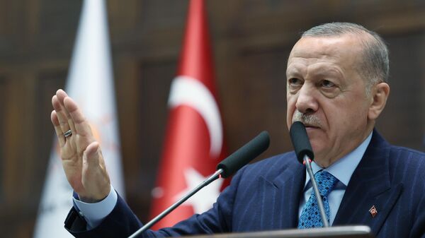 Cumhurbaşkanı Erdoğan - Sputnik Türkiye