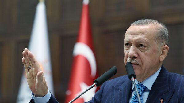 Cumhurbaşkanı Erdoğan - Sputnik Türkiye