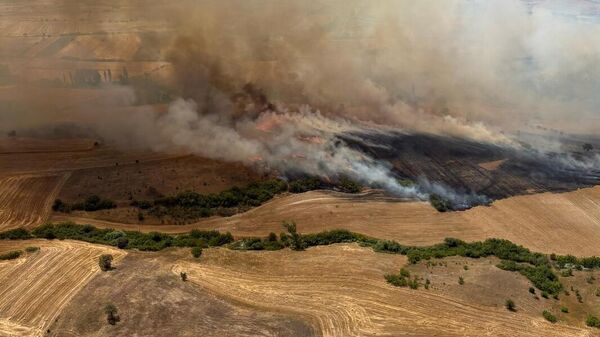 Balıkesir'deki orman yangınlarına ilişkin 5 kişi gözaltına alındı - Sputnik Türkiye