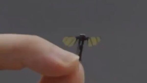 Çin'de sivrisinek boyutunda keşif ve muharebe İHA'sı geliştirildi - Sputnik Türkiye