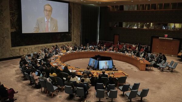 Rafael Mariano Grossi - Sputnik Türkiye