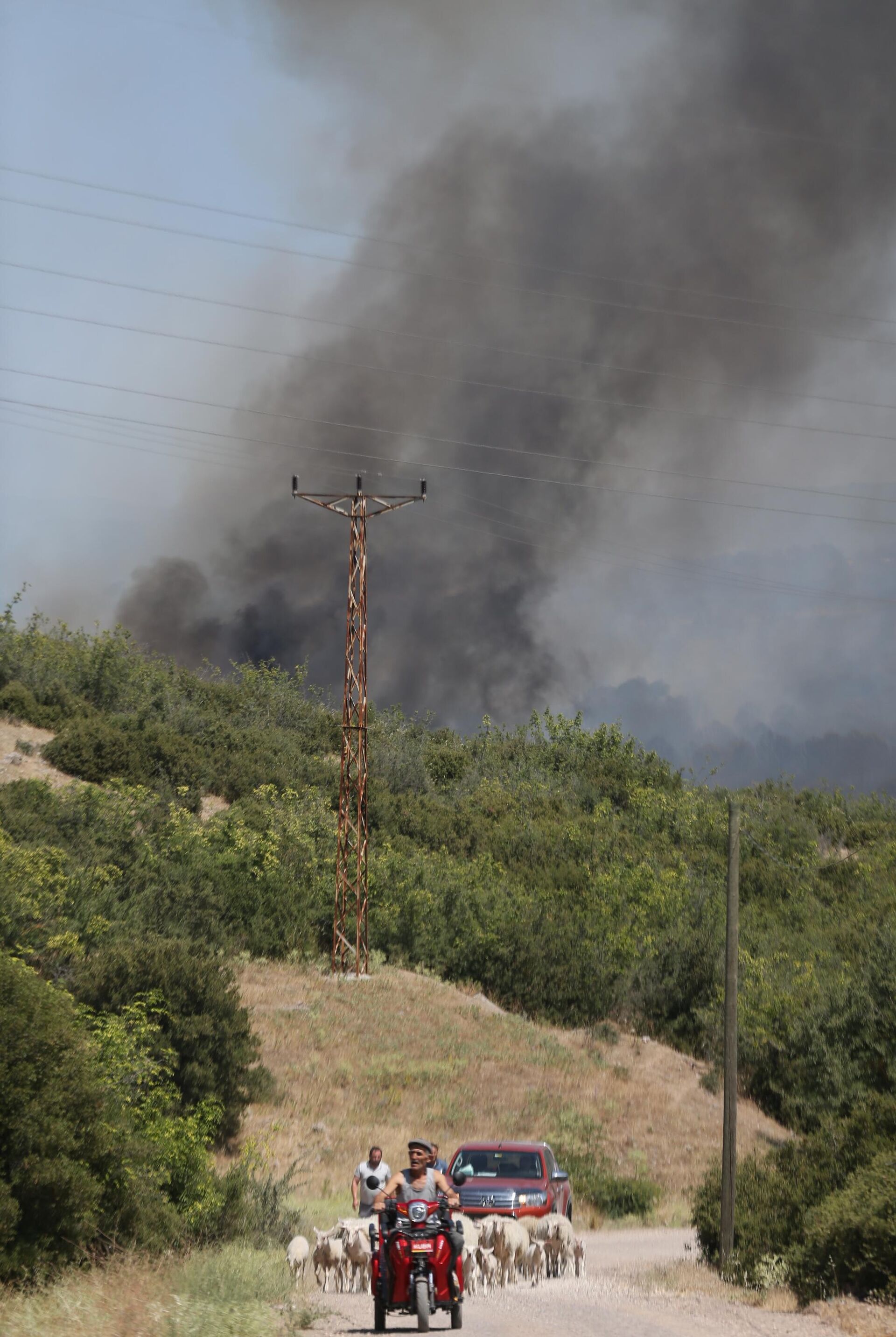 Çanakkale  - Sputnik Türkiye, 1920, 24.06.2025