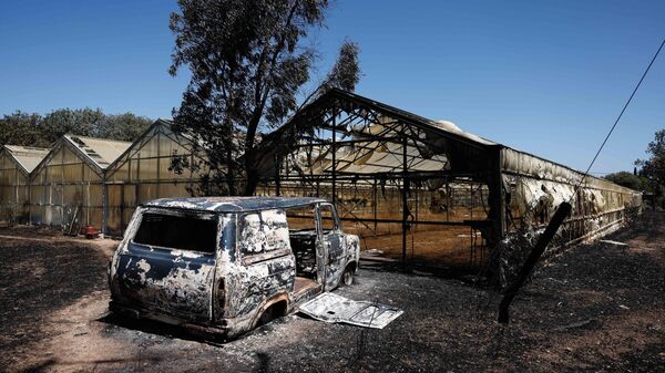 Sakız Adası'nda yangın - Sputnik Türkiye