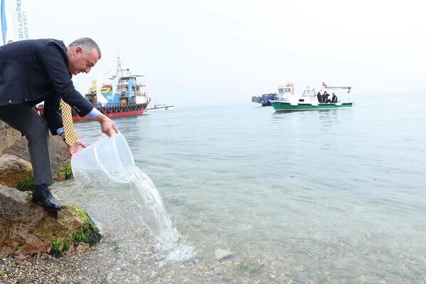 Kocaeli Büyükşehir Belediyesinden yapılan açıklamaya göre, belediyenin, TÜBİTAK Marmara Araştırma Merkezi ile sürdürdüğü su kalitesi izleme çalışmaları, İzmit Körfezi&#x27;nin sağlığı hakkında gerçek zamanlı bilgi veriyor. - Sputnik Türkiye