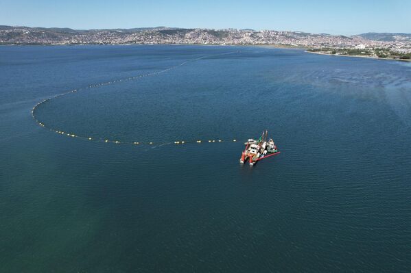 &#x27;İzmit Körfezi Balıklandırma Projesi&#x27;yle 2017-2025 yıllarında, kalkan, levrek ve çupra gibi türlerden toplam 54 bin balık, doğal ortamında markalanarak Körfez&#x27;e bırakıldı. - Sputnik Türkiye