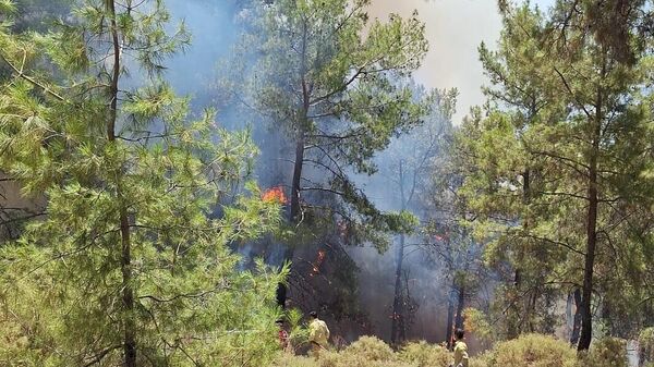 Antalya orman yangını - Sputnik Türkiye