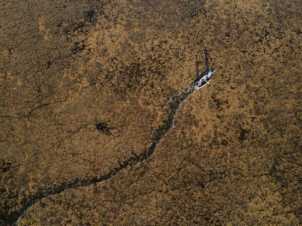 Ancak gölde geçimini balıkçılıkla sağlayan yöre halkı, su seviyesinin azalması sebebiyle ağlarını serebilecekleri uygun alan bulmakta zorlanıyor. - Sputnik Türkiye