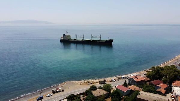 kuru yük gemisi karaya oturdu - Sputnik Türkiye
