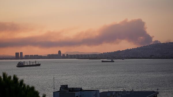 İzmir’in Aliağa ilçesinde, çöplük alanda başlayan ve rüzgarın etkisiyle ormanlık alana sıçrayan yangına havadan ve karadan müdahale ediliyor - Sputnik Türkiye
