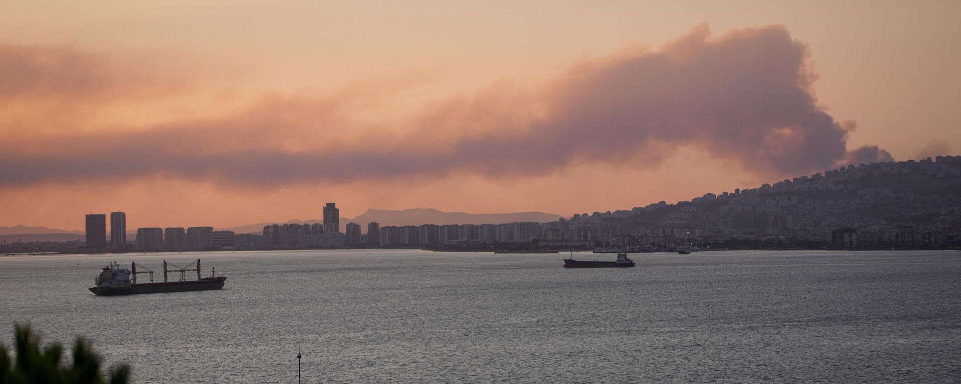 İzmir’in Aliağa ilçesinde, çöplük alanda başlayan ve rüzgarın etkisiyle ormanlık alana sıçrayan yangına havadan ve karadan müdahale ediliyor - Sputnik Türkiye, 1920, 26.06.2025