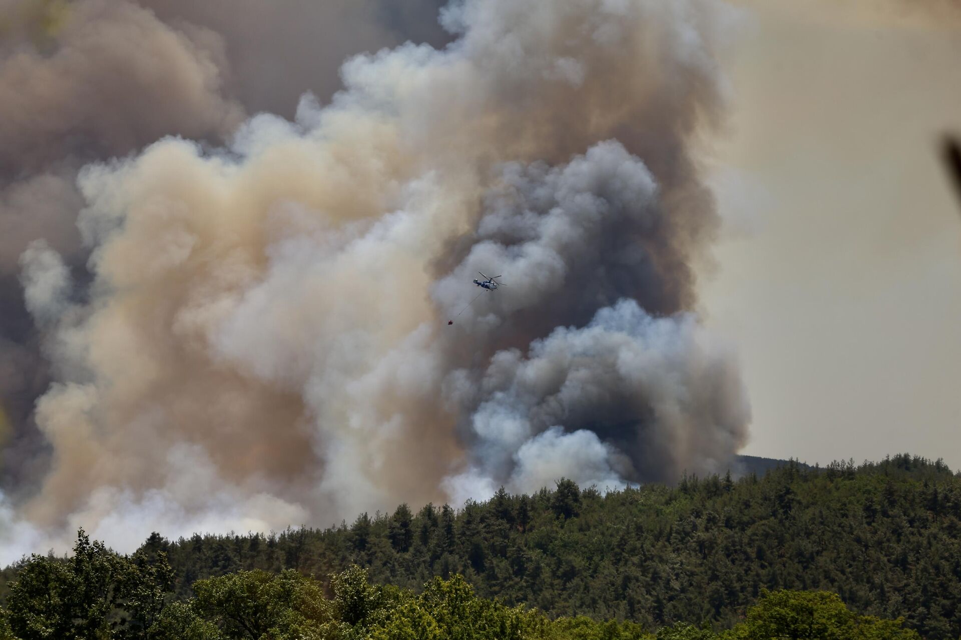 Sakarya orman yangını - Sputnik Türkiye, 1920, 27.06.2025
