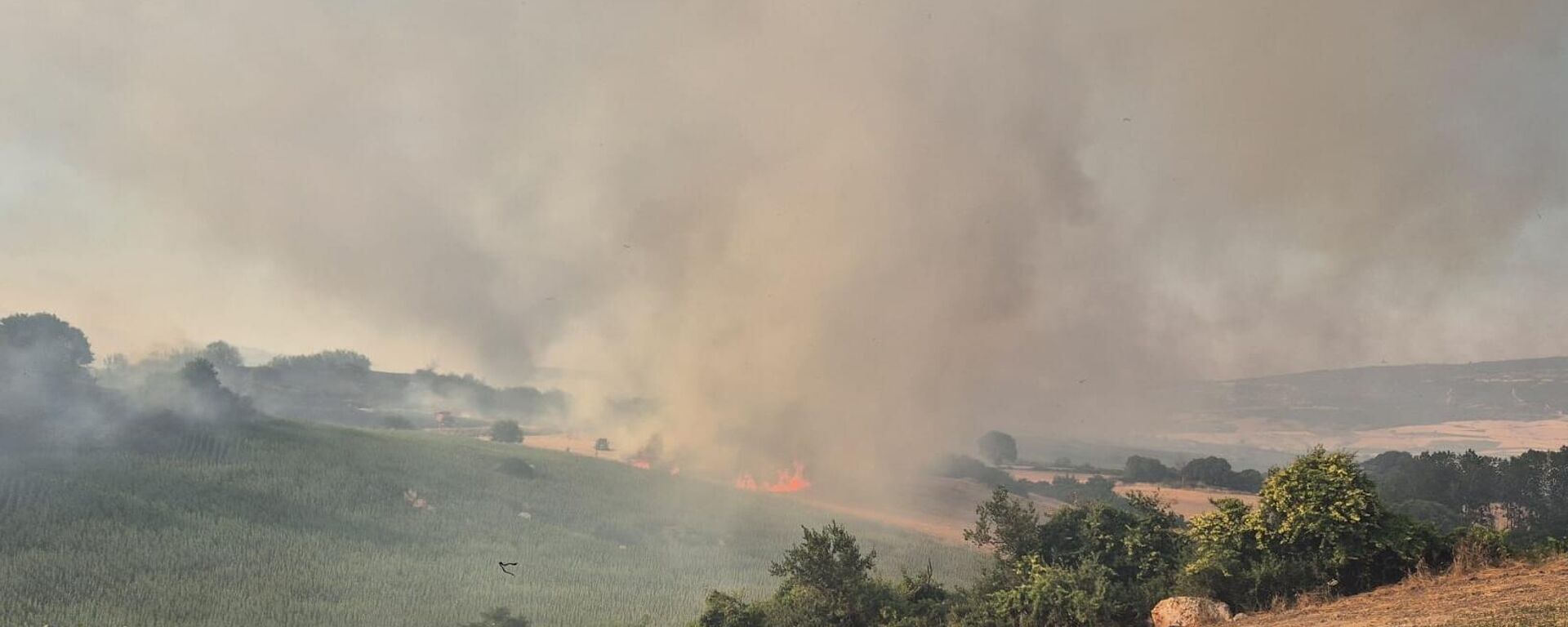 Balıkesir yangını - Sputnik Türkiye, 1920, 27.06.2025