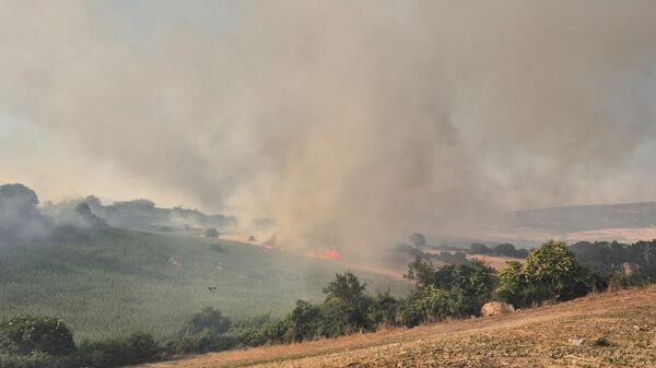 Balıkesir yangını - Sputnik Türkiye