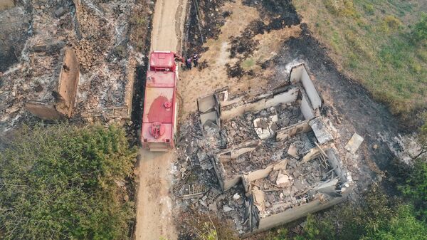 Sakarya orman yangını - Sputnik Türkiye