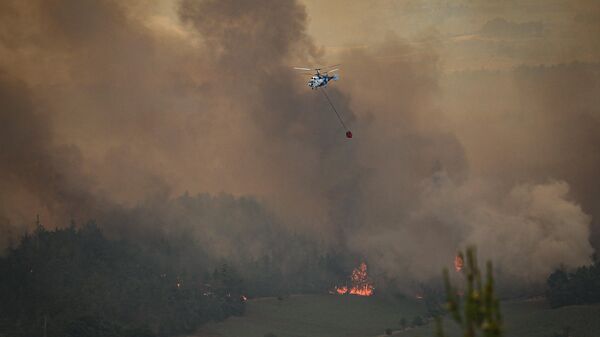 Sakarya orman yangını - Sputnik Türkiye