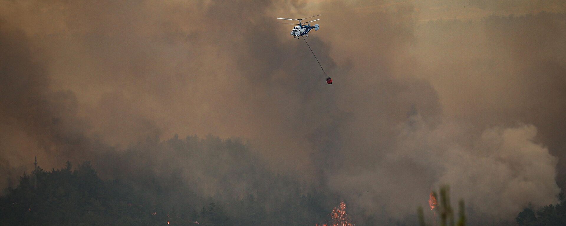 Sakarya orman yangını - Sputnik Türkiye, 1920, 28.06.2025