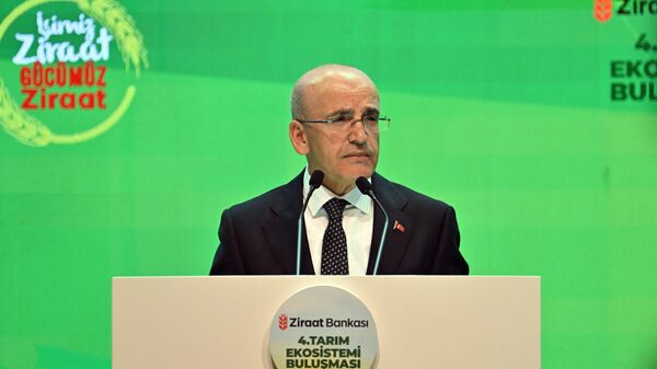 Hazine ve Maliye Bakanı Mehmet Şimşek - Sputnik Türkiye