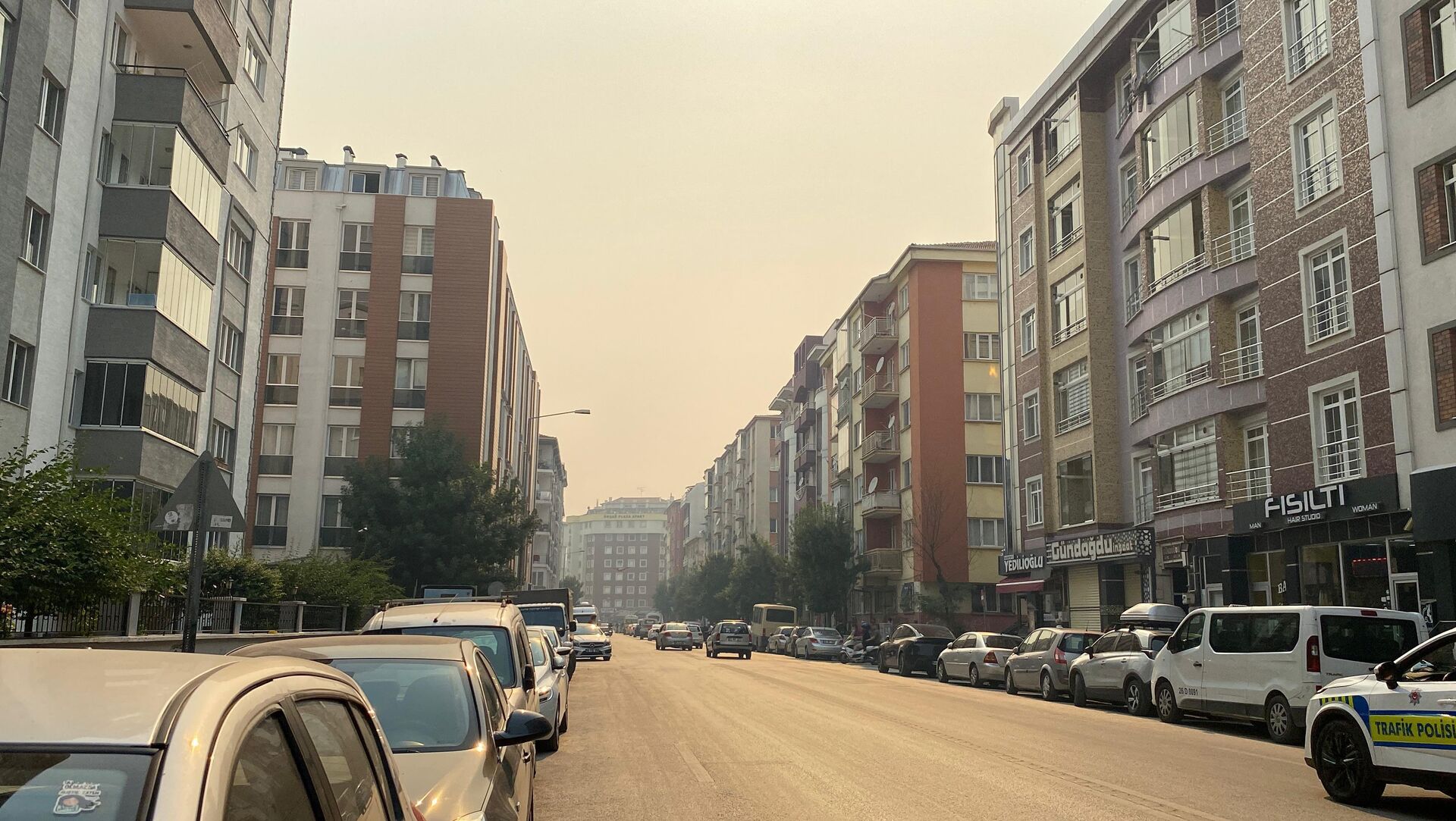 Bilecik'teki orman yangınının dumanı Eskişehir'e ulaştı - Sputnik Türkiye, 1920, 29.06.2025