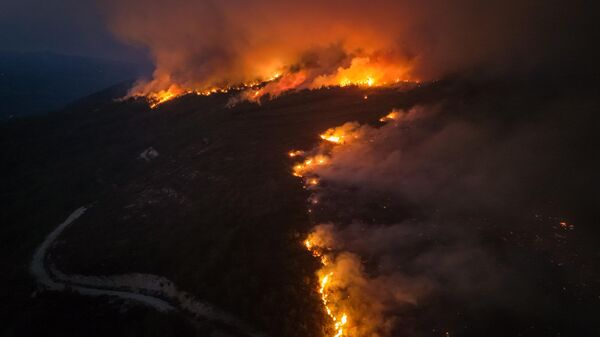 İzmir'in Menderes ve Seferihisar ilçelerindeki orman yangınından görüntüler - Sputnik Türkiye