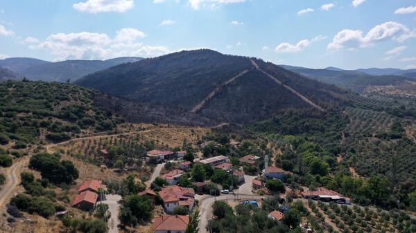 Manisa'nın Akhisar ilçesindeki orman yangını - Sputnik Türkiye