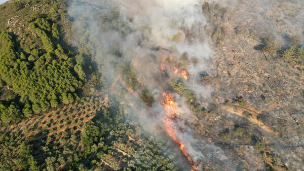 Antalya'nın Gazipaşa orman yangını - Sputnik Türkiye