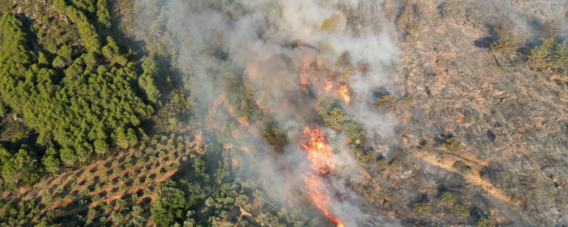 Antalya'nın Gazipaşa orman yangını - Sputnik Türkiye, 1920, 30.06.2025