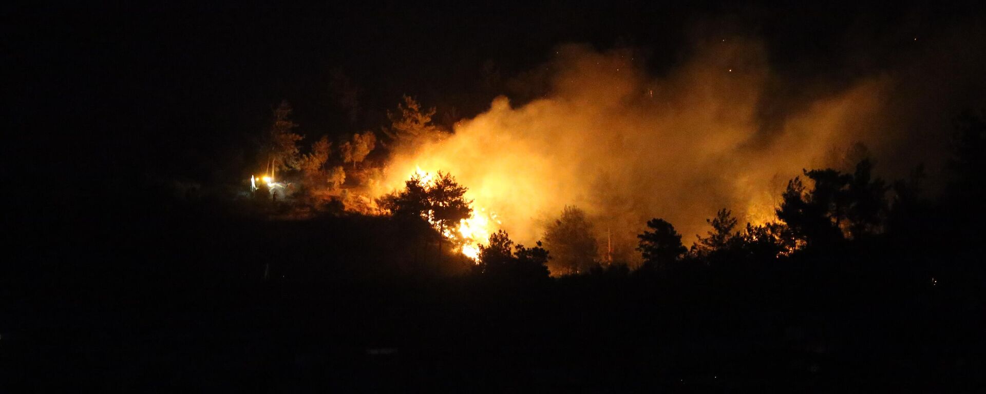 Hatay'ın merkez Antakya ilçesinde, yerleşim yerlerine yakın noktada çıkan orman yangınına karadan müdahale ediliyor. - Sputnik Türkiye, 1920, 30.06.2025