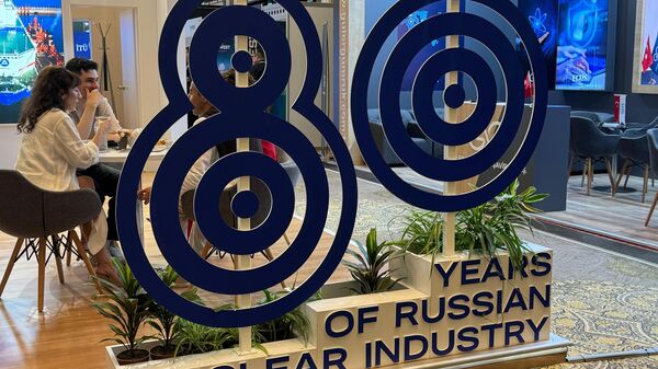 11. Nükleer Santraller Zirvesi - Sputnik Türkiye