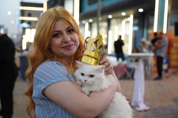 Birinci seçilen “Güle Rana” adlı kedi. Birinci seçilen “Güle Rana” adlı kedi. - Sputnik Türkiye