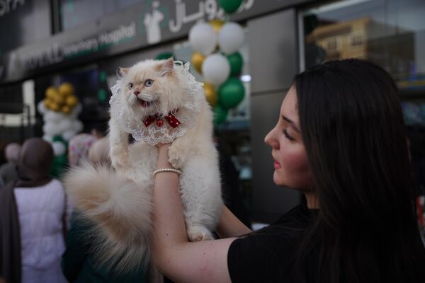Irak’ın Süleymaniye kentinde ikinci kez düzenlenen ''Kedi Güzellik Festivali'', yaklaşık 200 kedinin katılımıyla gerçekleştirildi. Irak’ın Süleymaniye kentinde ikinci kez düzenlenen ''Kedi Güzellik Festivali'', yaklaşık 200 kedinin katılımıyla gerçekleştirildi. - Sputnik Türkiye
