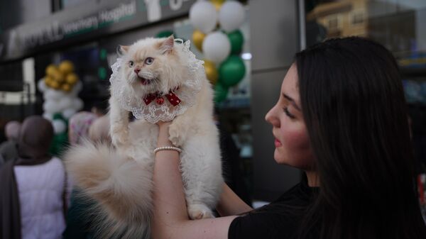 Kedi Güzellik Festivali - Sputnik Türkiye