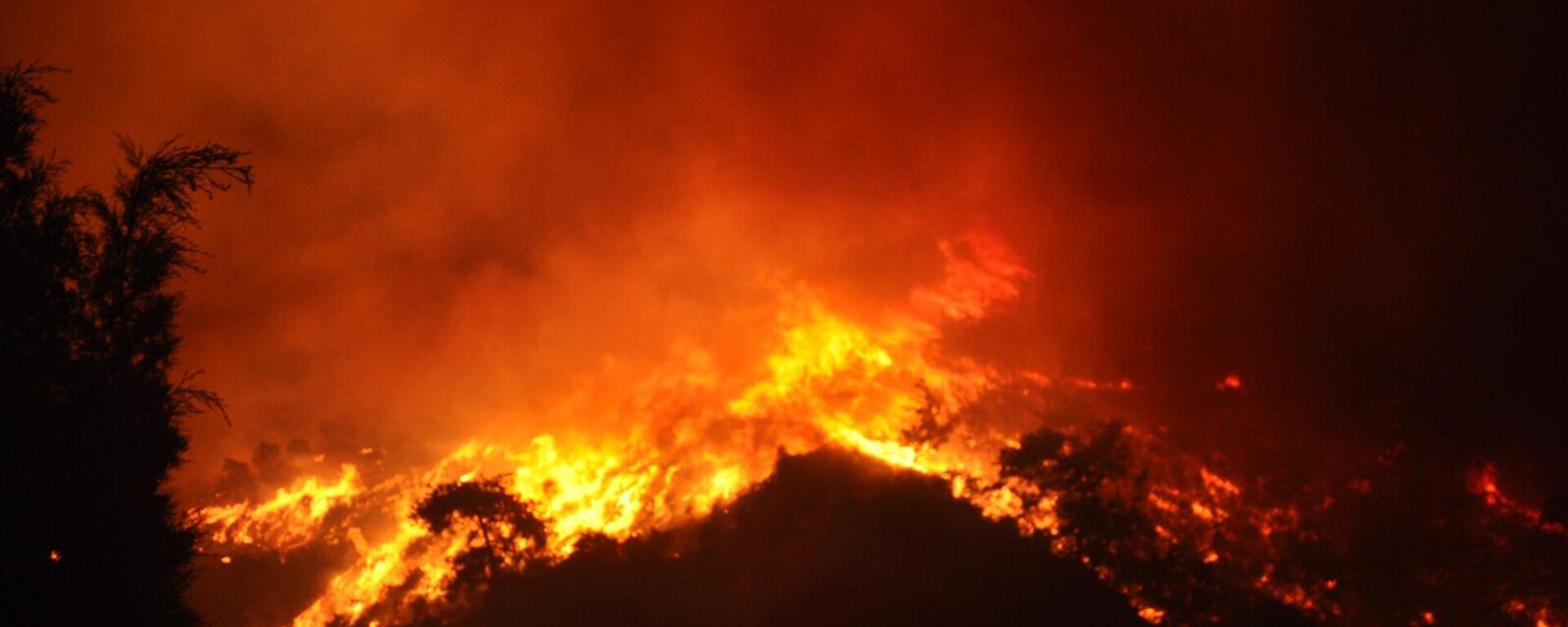 Ödemiş yangını - Sputnik Türkiye, 1920, 02.07.2025