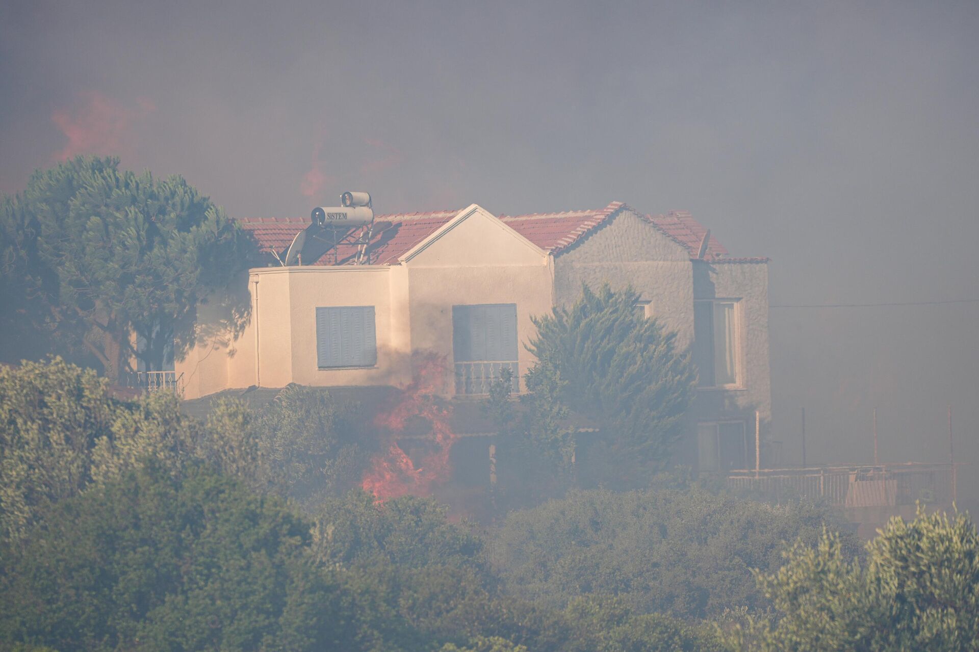 orman yangını - Sputnik Türkiye, 1920, 03.07.2025