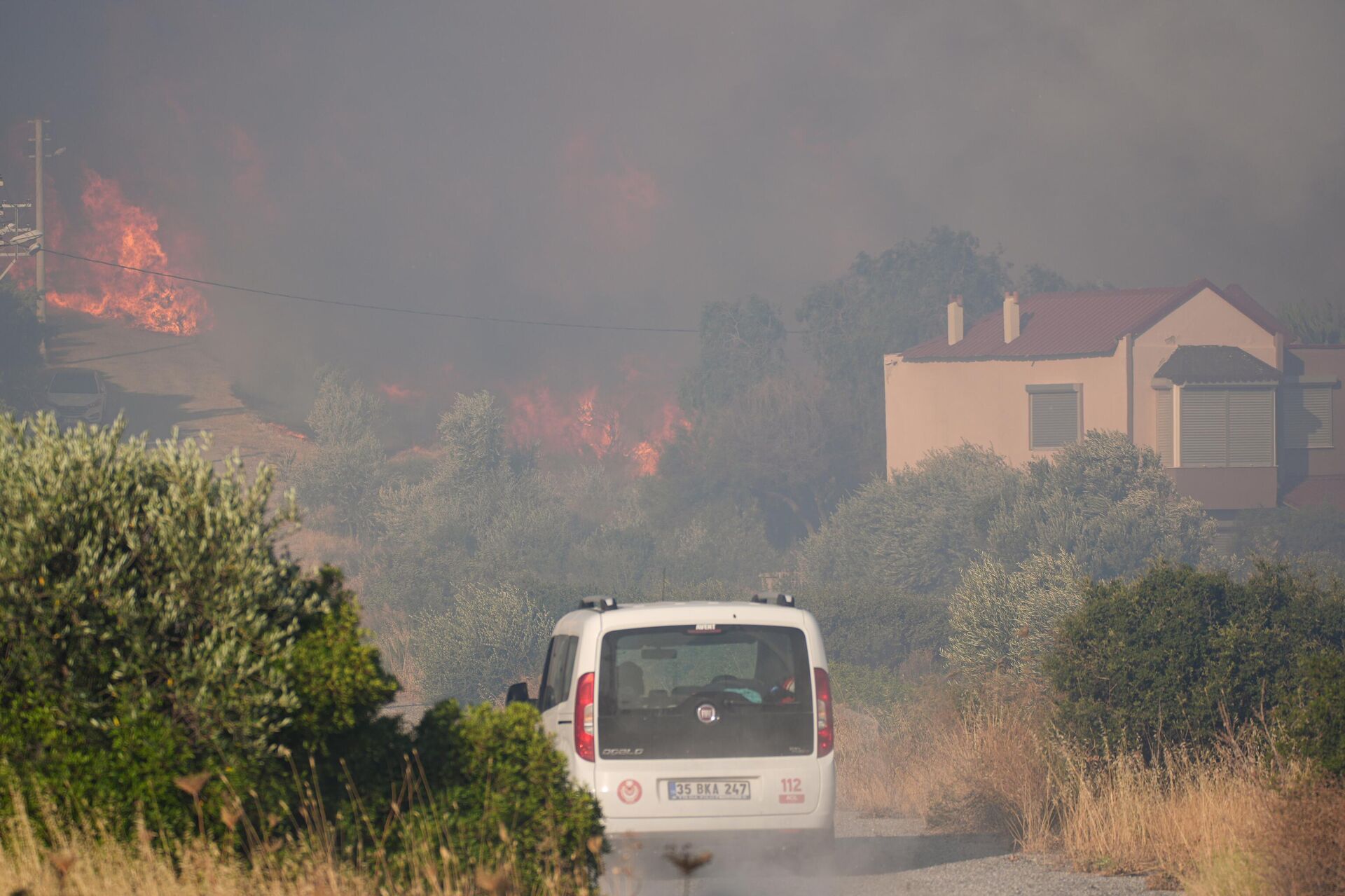 orman yangını - Sputnik Türkiye, 1920, 03.07.2025