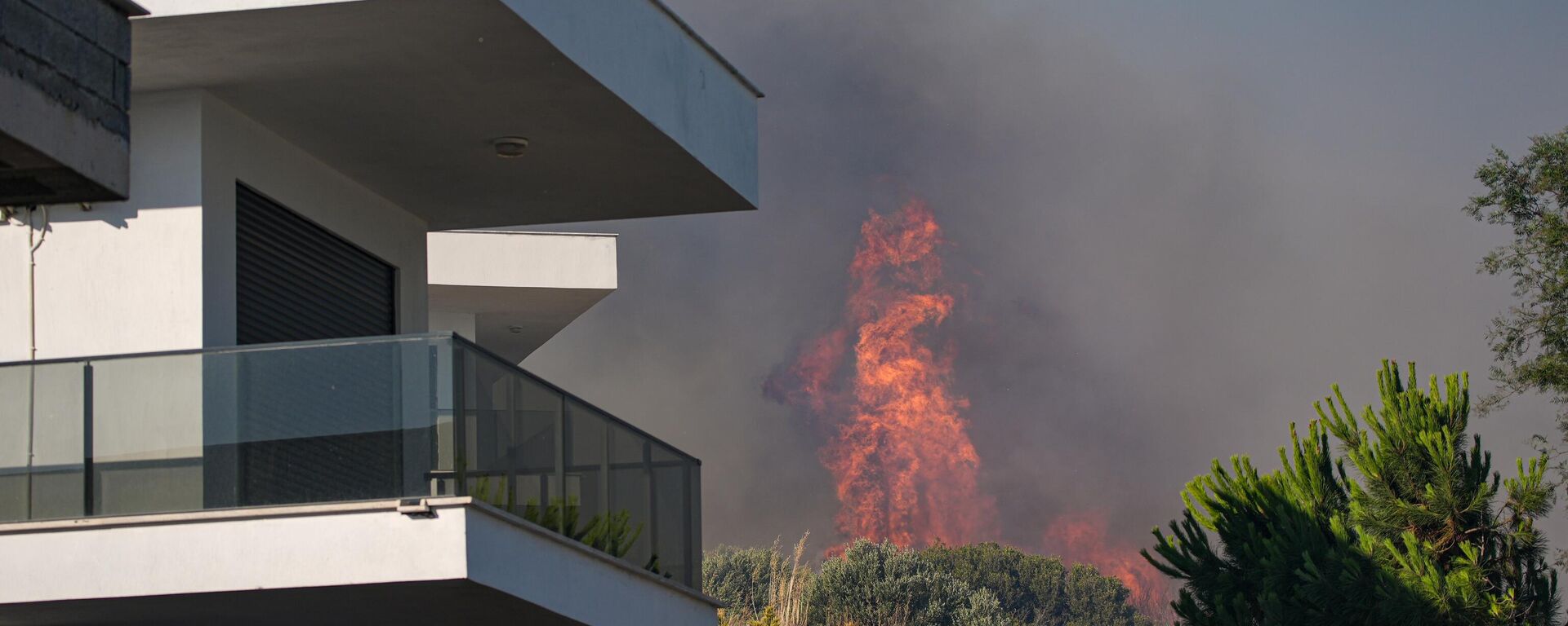orman yangını - Sputnik Türkiye, 1920, 03.07.2025